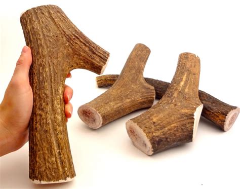 Elk antlers for dogs. Things To Know About Elk antlers for dogs. 